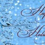 Diet and wellness during the holiday season