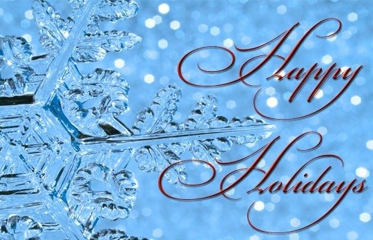 Diet and wellness during the holiday season