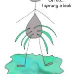 Gut giving you grief? You could have a “leaky gut”: The benefits of probiotics