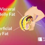 How to Lose Belly Fat