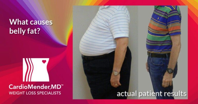 What are the causes of belly fat?