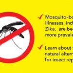 How to Protect Yourself and Your Family from the Zika Virus Naturally