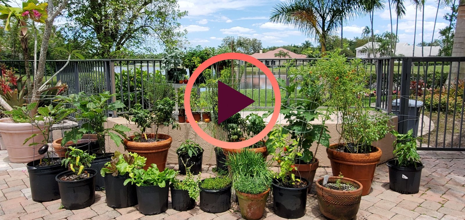 CM garden play scaled 1