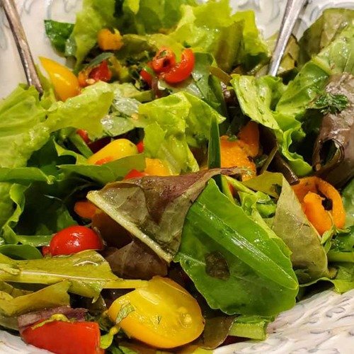Docs Salad A 500x500 1