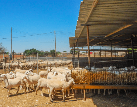 Screen Shot 2020 05 18 at 6.33.48 PM