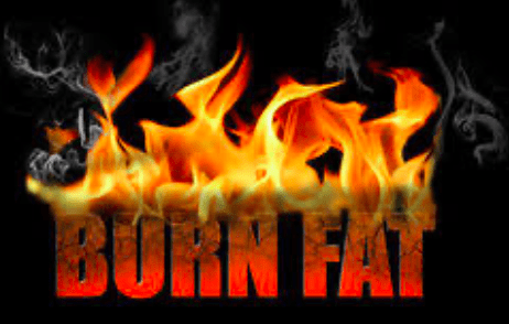 Screen Shot 2020 07 14 at 3.51.16 PM