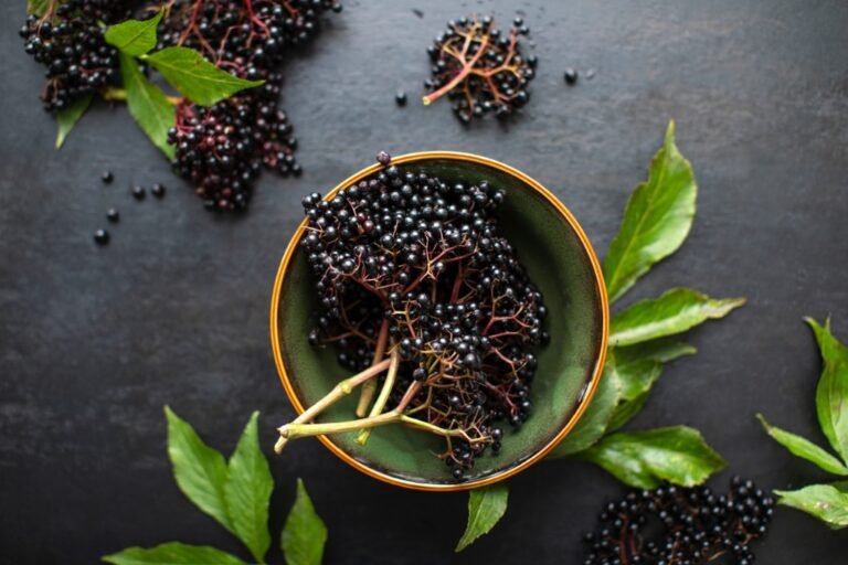 Elderberry Immune Support & Weight Loss