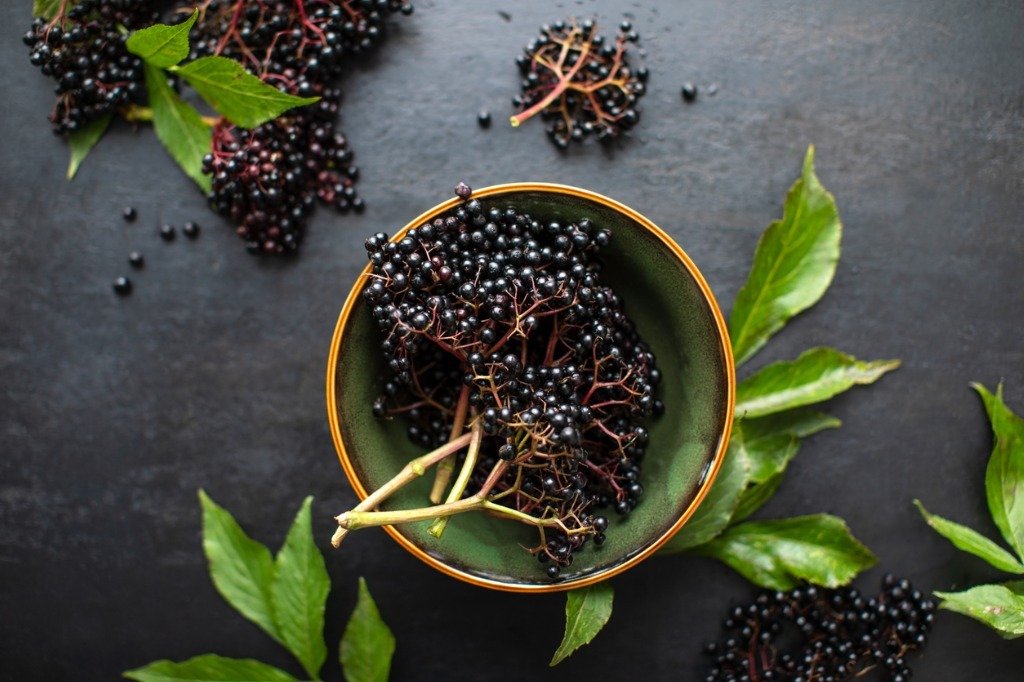 Elderberry Immune Support & Weight Loss